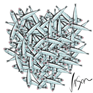 Picture of anchovies