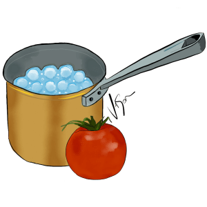 Picture of copper pot and tomato