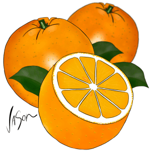 Picture of oranges