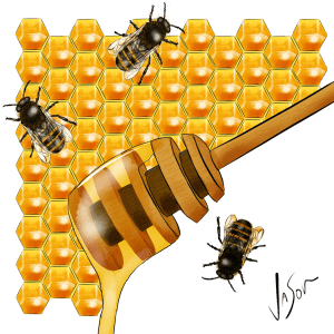 Picture of honey
