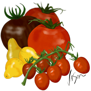 Picture of Tomatoes