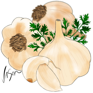 Picture of garlic