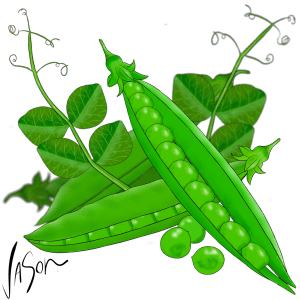 Picture of peas