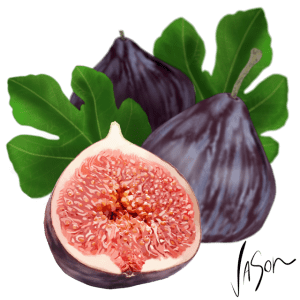 figs 2 640x640